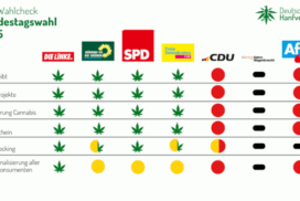 Grafik zu den Wahl Checkpunkten des Deutschen Hanf Verband zur Bundestagswahl 2025