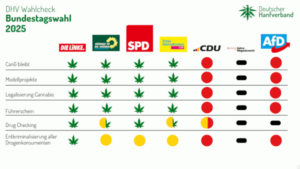 Grafik zu den Wahl Checkpunkten des Deutschen Hanf Verband zur Bundestagswahl 2025